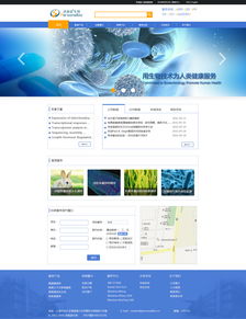 網(wǎng)頁設(shè)計(jì) 打造用戶體驗(yàn)至上的Web頁面