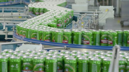 線上線下多維賦能，青島啤酒以品質(zhì)致敬冬奧會(huì)網(wǎng)站建設(shè)