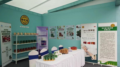 御芝林藥業(yè)亮相第三屆扁鵲文化節(jié)，多款核心產(chǎn)品與文化創(chuàng)新備受矚目